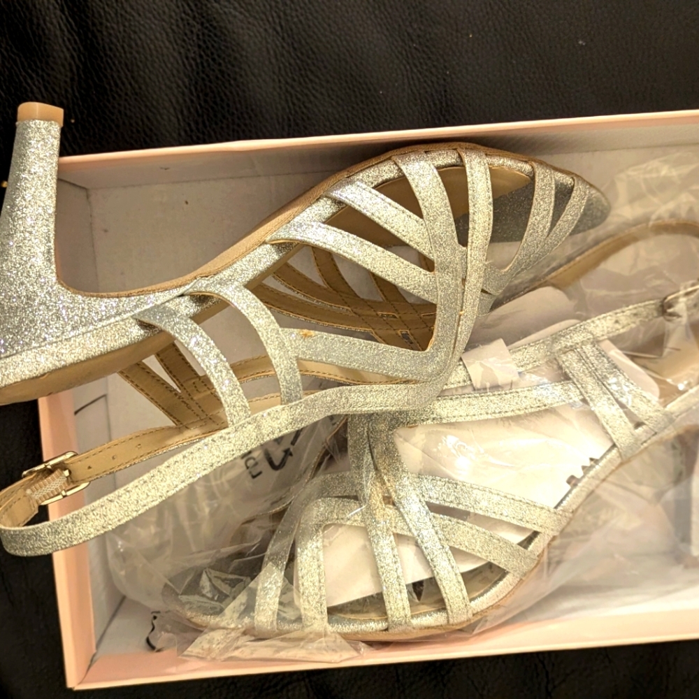 NEW in box Chinese Laundry Metallic Brush Sandals